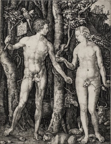 Albrecht Dürer - Come avrò freddo dopo tutto quel sole...